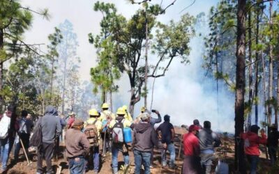 Reporta Coesfo control del 50% en incendio de la Sierra Sur