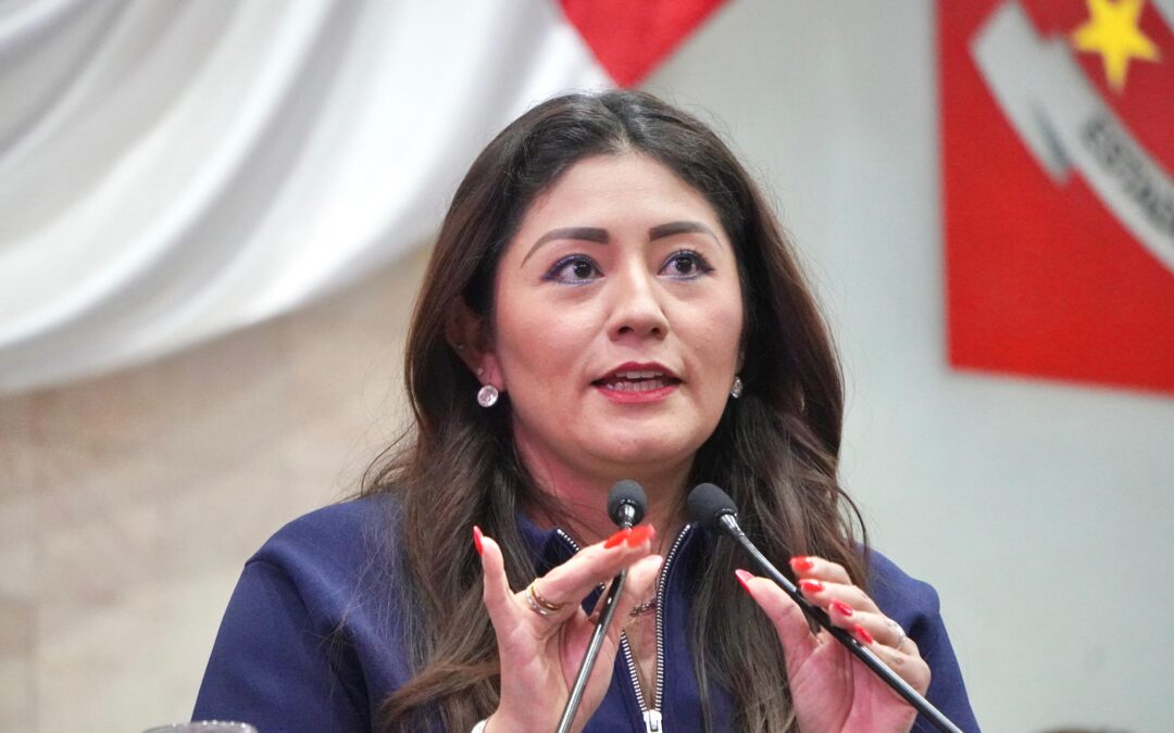 Diputada Liz Concha propone reforzar la seguridad  para candidatas y candidatos