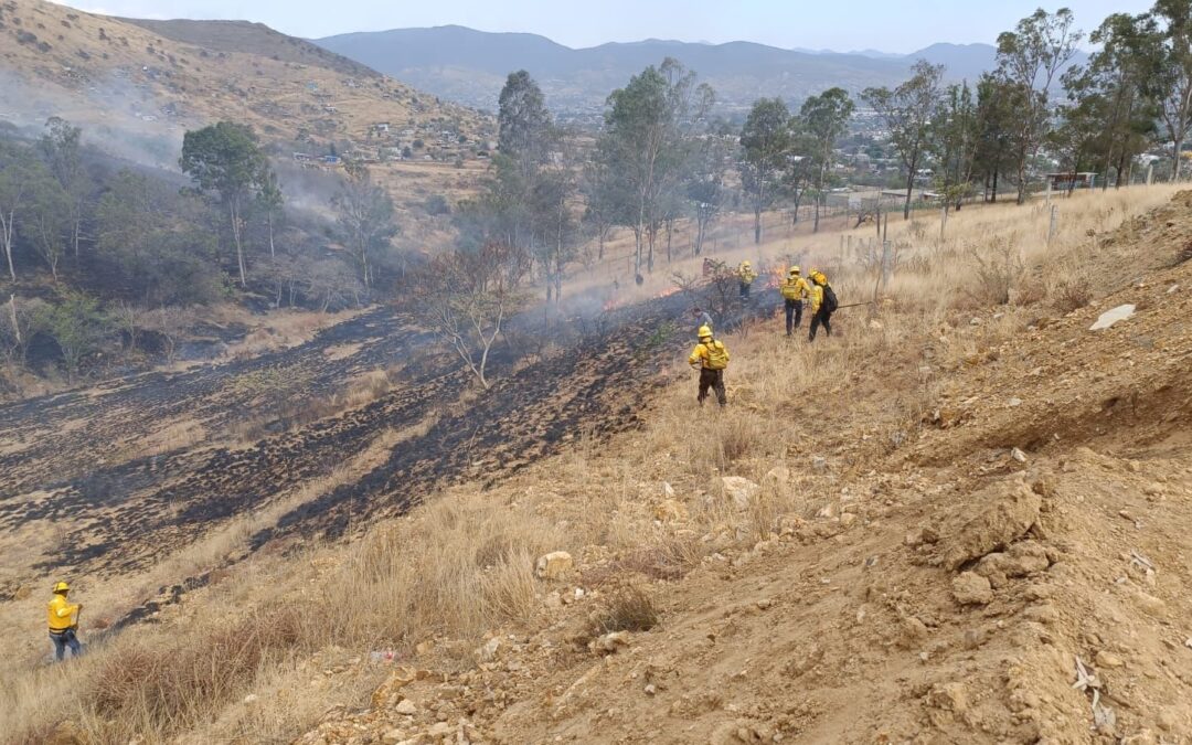 Liquidado incendio en Santa Cruz Xoxocotlán