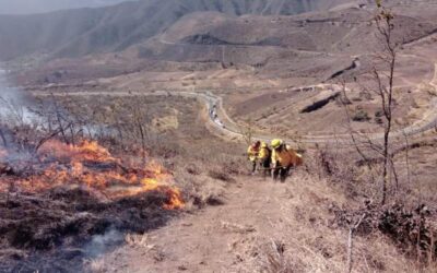 Aumentan incendios en el inicio de Semana Santa: 14 Estados Afectados