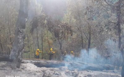 Controla Coesfo incendios en localidades de San Martín Peras