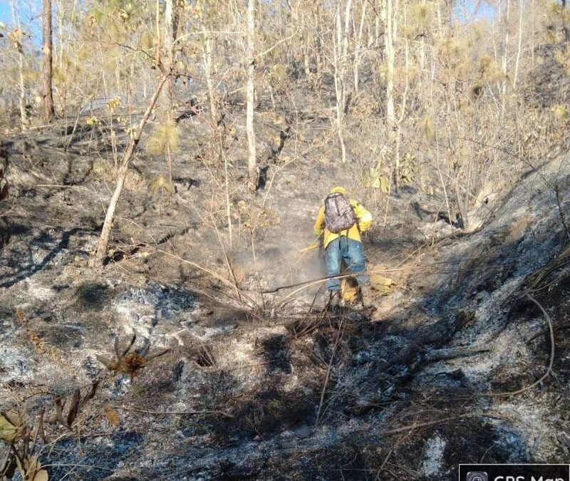 Controlado incendio forestal en San Pedro y San Pablo Ayutla