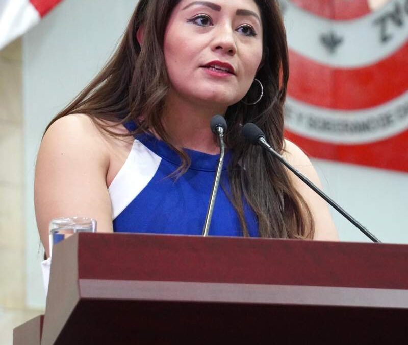 Diputada Liz Concha alza la mano por las mujeres
