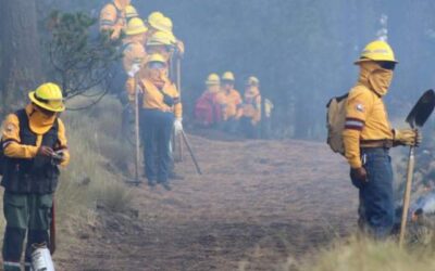 Incendios forestales: AMLO confirma cuatro muertos; hay 116 eventos en el país