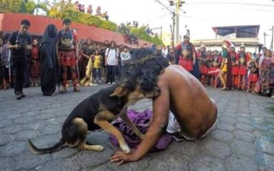 Perrito callejero consuela y abraza a actor que interpretó a Jesús en la Pasión de Cristo