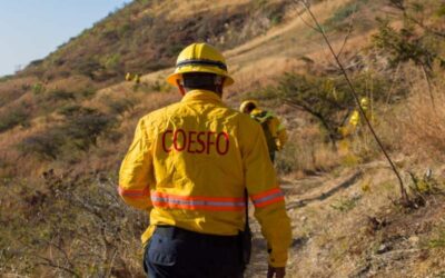 Atiende Coesfo reporte de incendio forestal en San Andrés Huayápam