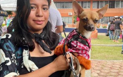 Cómo cuidar a tu mascota en época de calor