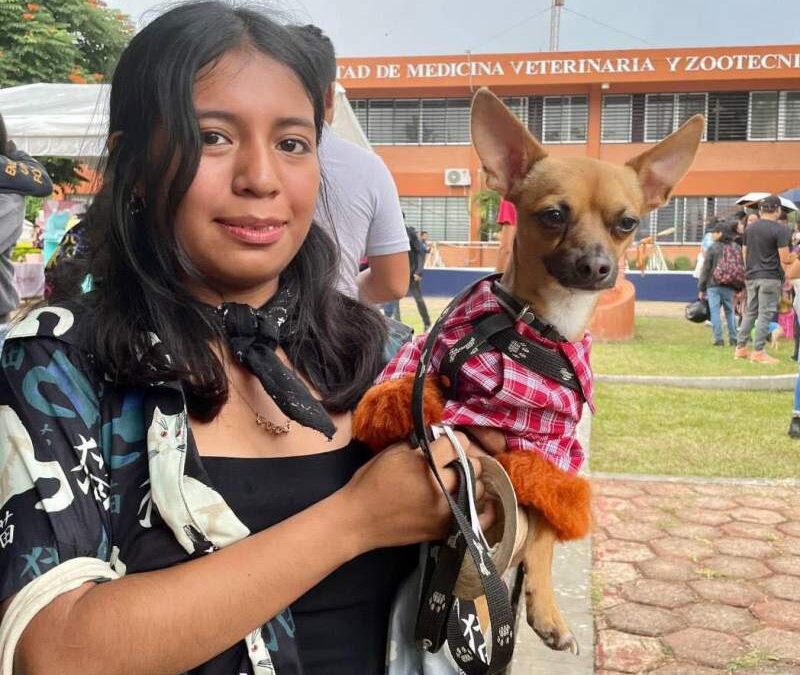 Cómo cuidar a tu mascota en época de calor