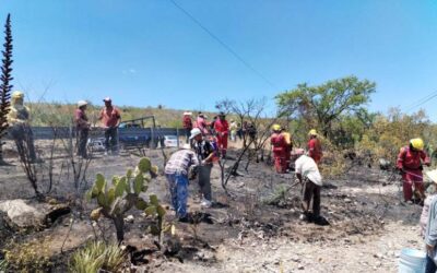Controla Coesfo incendio forestal en límites de Oaxaca y Puebla
