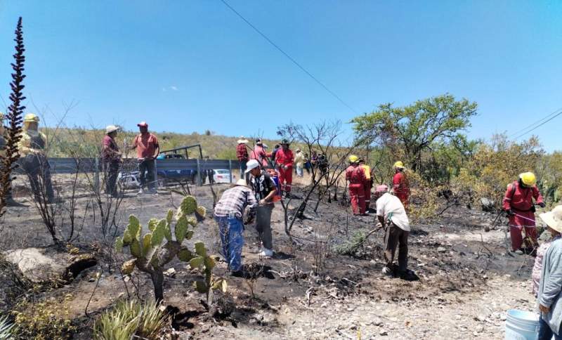 Controla Coesfo incendio forestal en límites de Oaxaca y Puebla