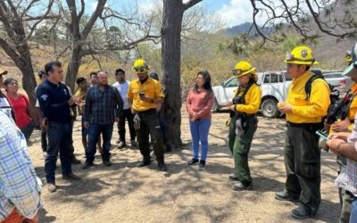 Definen plan estratégico para combatir incendio en la zona de Chimalapas