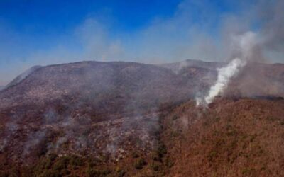 Devastadora ola de incendios azota México: más de 70 siniestros activos en medio de la aguda sequía