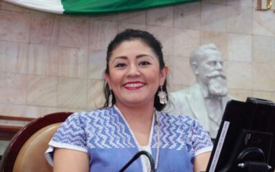 Diputada liz concha una vez más alza la voz en el congreso de Oaxaca