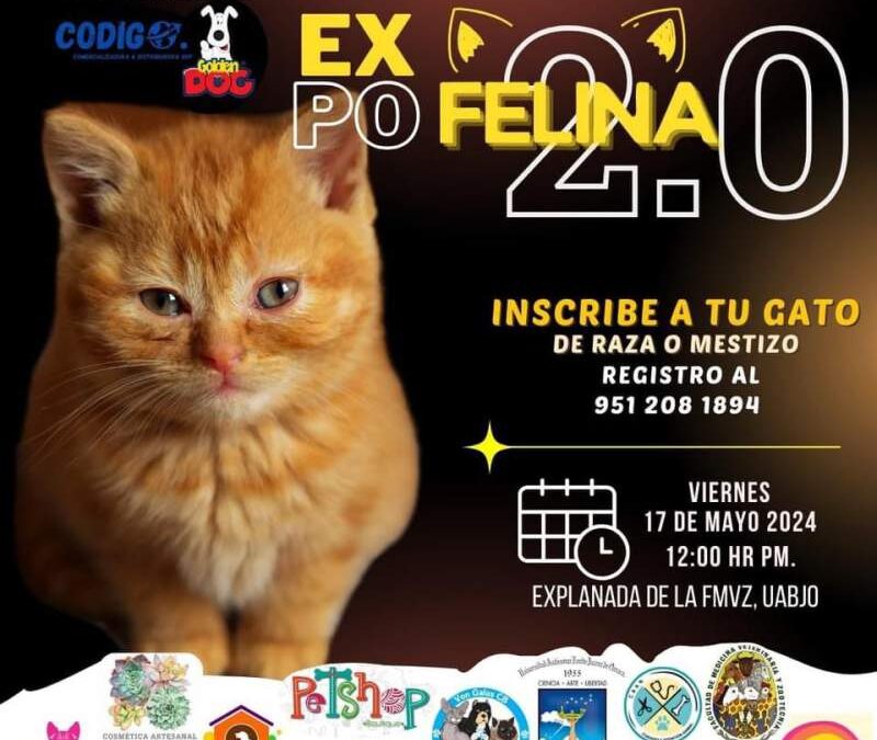 UABJO invita a la 2a Expo Felina