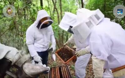UABJO ya cuenta con su apiario