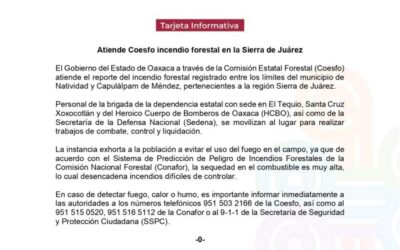 Atiende Coesfo incendio forestal en la Sierra de Juárez