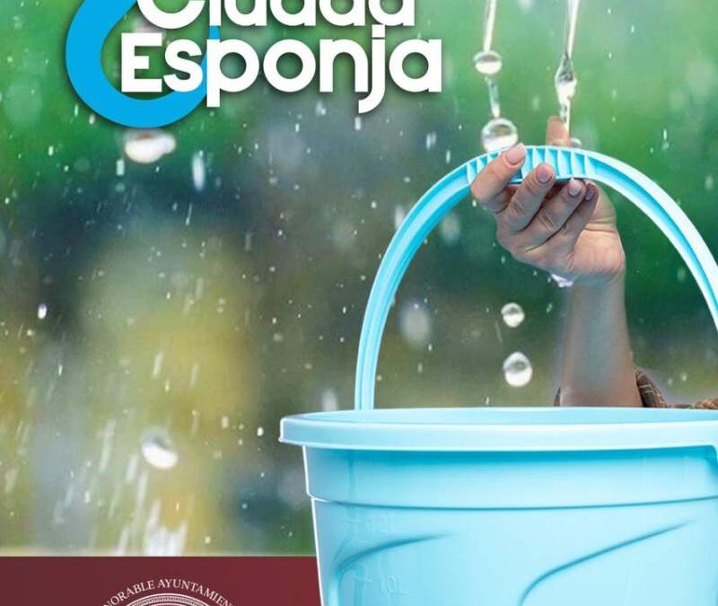 Cosechar agua de lluvia y tapar recipientes recomienda Ayuntamiento capitalino.