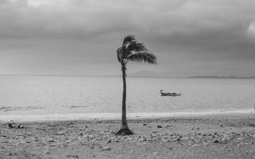 Dos ondas tropicales esta semana: ¿Cuándo llegan a México y qué estados afectarán?