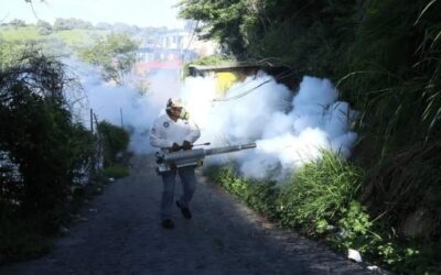 Incrementan casos de dengue en México: estos son los estados más afectados