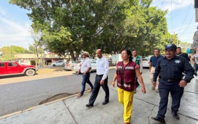 Por temporada de lluvias continúa poda preventiva de árboles de grandes dimensiones