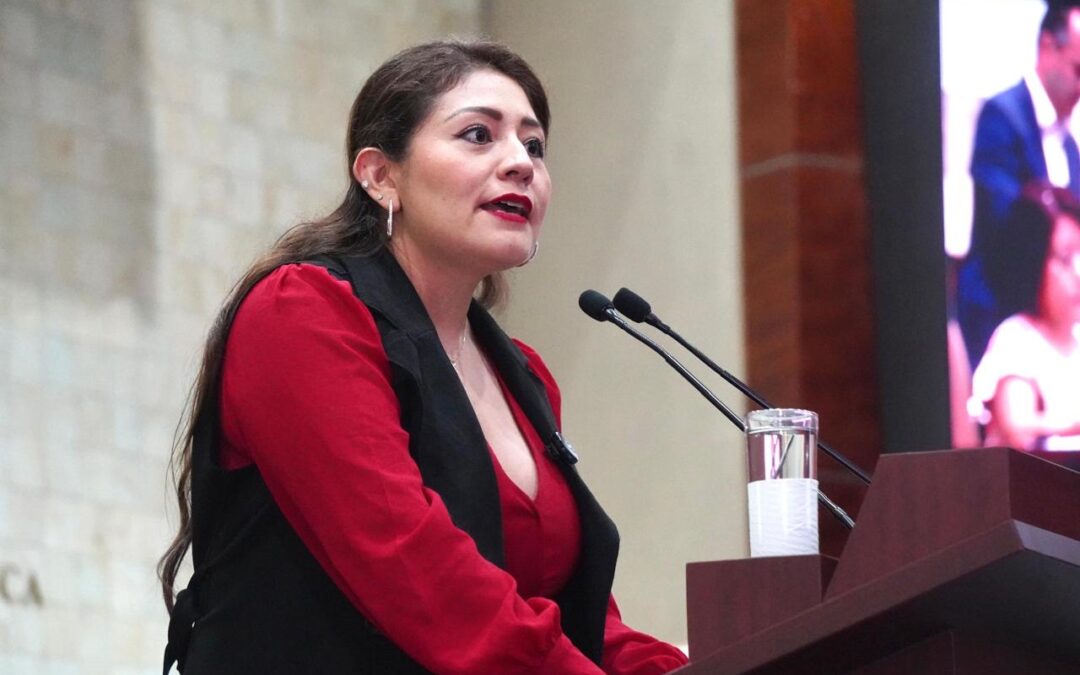 Diputada Liz Concha Propone Reforzar la Ley 3 de 3