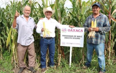 Impulsa Sefader el bienestar del campo oaxaqueño