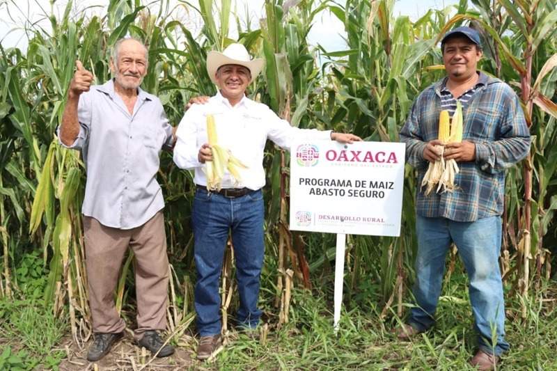 Impulsa Sefader el bienestar del campo oaxaqueño