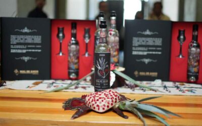 Invita Sectur a disfrutar de 10 Guelaguetzas en comunidades de Oaxaca