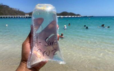 Las 14 playas de Oaxaca se encuentran aptas para su uso recreativo: SSO