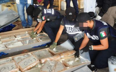 Personal Naval en apoyo a la Aduana Marítima de Veracruz asegura presunta marihuana en el Recinto Portuario de Veracruz