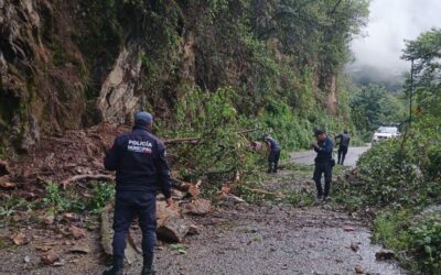 Reportan derrumbe sobre carretera Huautla de Jiménez – Jalapa de Díaz