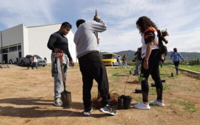 UABJO reforesta predio de Hospital Veterinario en Zimatlán