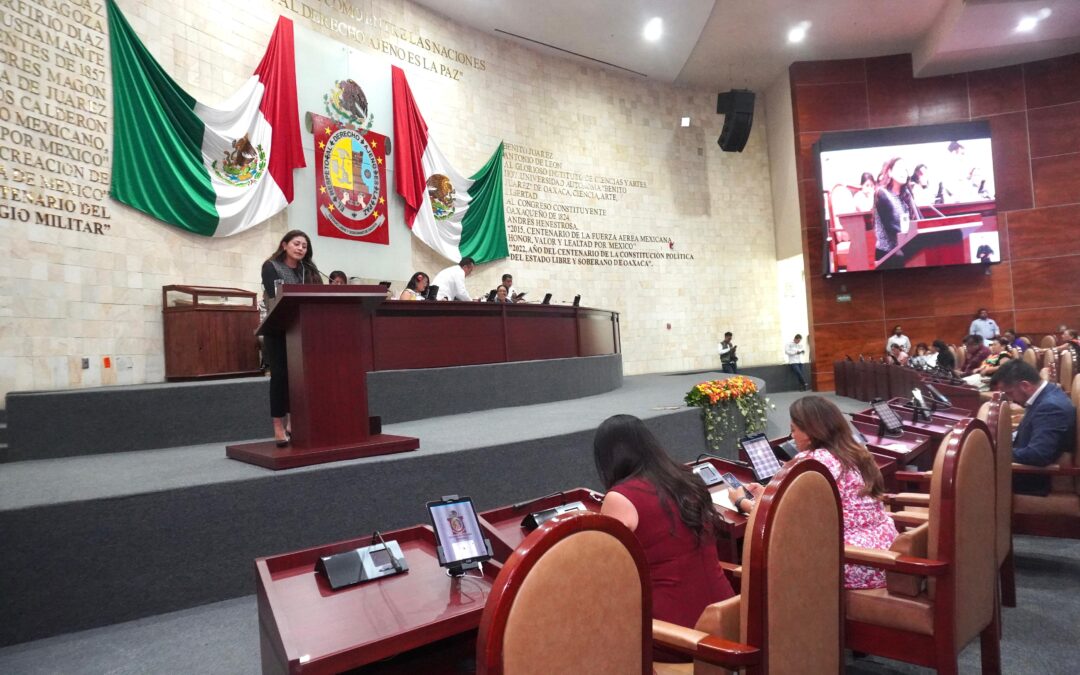 VIVIENDA PARA LAS JUVENTUDES PROPONE LIZ CONCHA EN EL CONGRESO