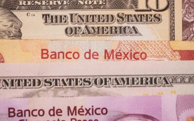 Dólar hoy 23 de agosto 2024 en México: Precio, compra y venta