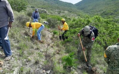 Jornada Estatal de Reforestación llega a San Luis Amatlán