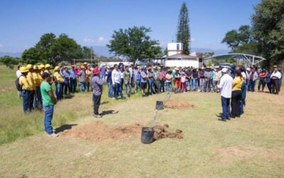 Plantan mil 200 árboles de Reforesta Oaxaca en el CIIDIR del Instituto Politécnico Nacional