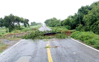 Cerrada circulación de la carretera federal 200, en límites de Oaxaca y Guerrero