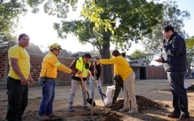 Con Mega Tequio reforestan el Parque Primavera Oaxaqueña previo a su inauguración