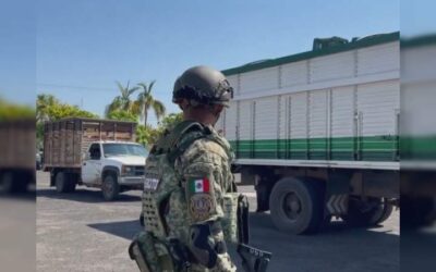 Burlan a cientos de policías y soldados y queman centro de acopio de limón en Apatzingán, Michoacán: a metros de cuartel de la GN