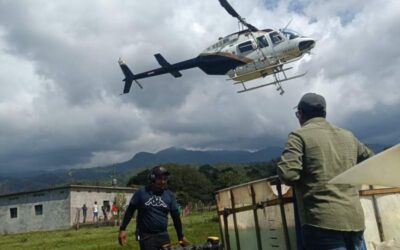 La Primavera Oaxaqueña protege 109.04 hectáreas forestales de la localidad El Porvenir, La Reforma