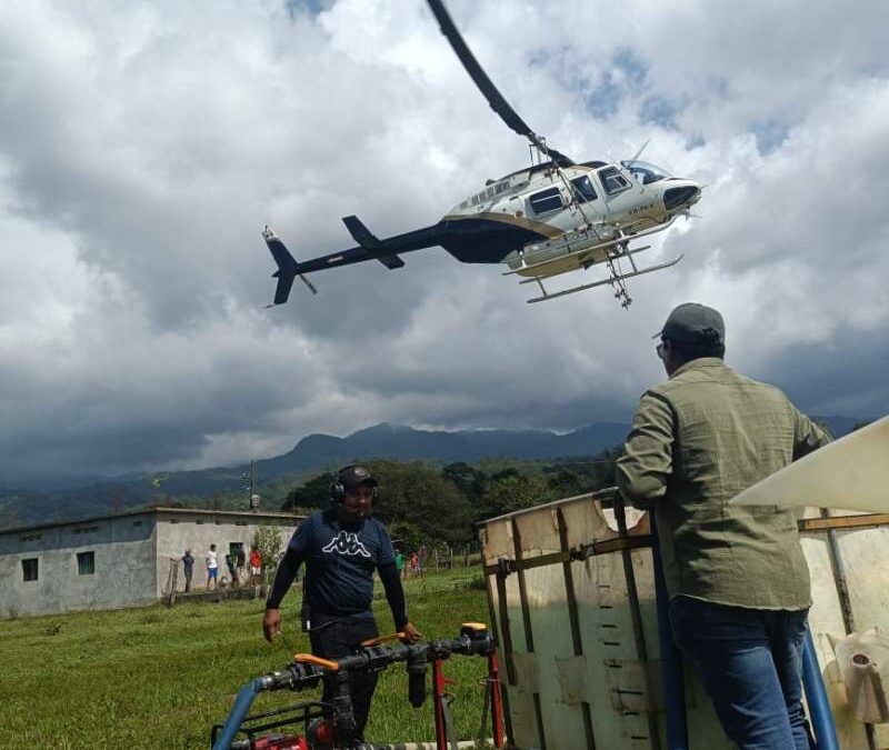 La Primavera Oaxaqueña protege 109.04 hectáreas forestales de la localidad El Porvenir, La Reforma