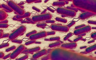 Así se contagia la bacteria Klebsiella oxytoca, que causó un brote epidemiológico en el Estado de México
