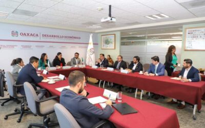 Avanza Gobierno de Oaxaca en transición energética para impulsar desarrollo industrial y empresarial sustentable