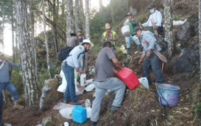 Controla Coesfo incendio forestal en Santa María Yucuhiti