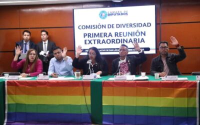 La Comisión de Diversidad aprobó, con observaciones, opinión positiva respecto al PPEF 2025