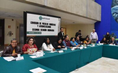 Pide Comisión garantizar ejercicio efectivo de los recursos a pueblos y comunidades indígenas y afromexicanas