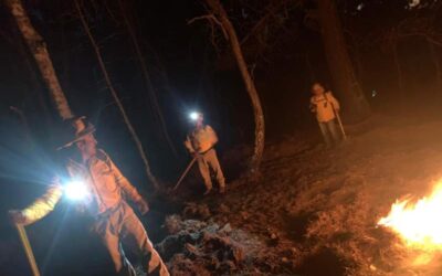 Controla Coesfo incendio forestal en San Miguel Tilquiápam