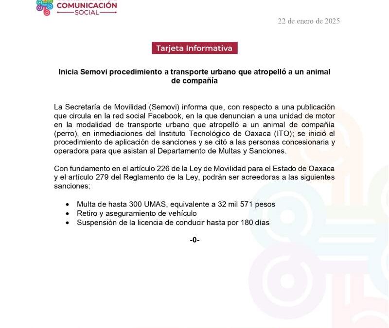 Inicia Semovi procedimiento a transporte urbano que atropelló a un animal de compañía