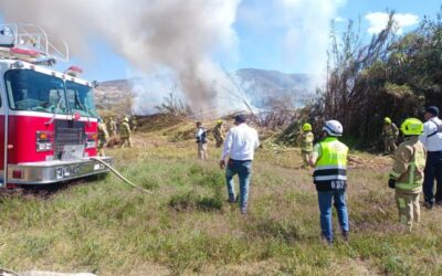 Liquidado incendio en el municipio de San Antonio de la Cal: Protección Civil