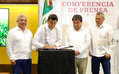 Oaxaca se une a la lucha contra el maíz transgénico e impulsa conservación del nativo